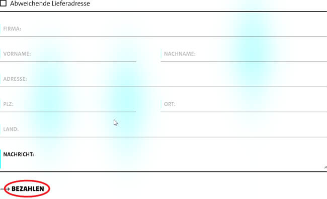 Bild von der Eingabe einer anderen Lieferadresse.